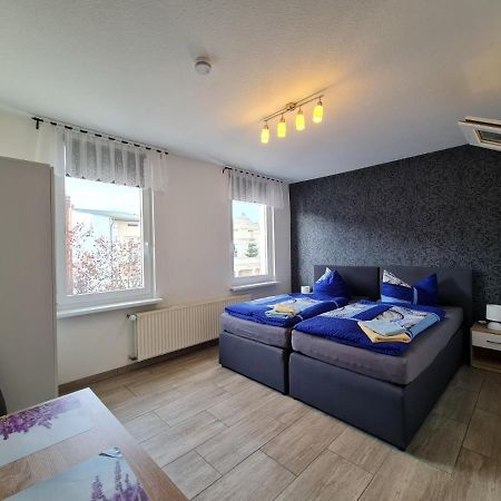Pension Zum Holzwurm Виттенберге Экстерьер фото
